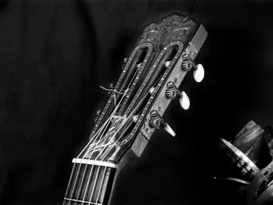 gitara klasyczna lutnicza główka fot. Pixabay